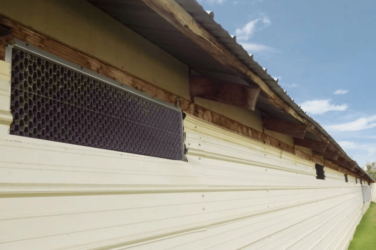 Brentwood Light Trap